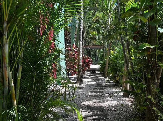 Hotel El Reinas By Sugar's Monkey Playa Grande